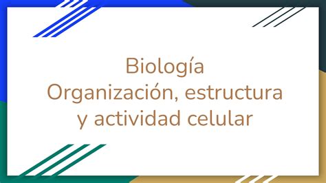 Solution Biologia Organizacion Estructura Y Actividad Celular