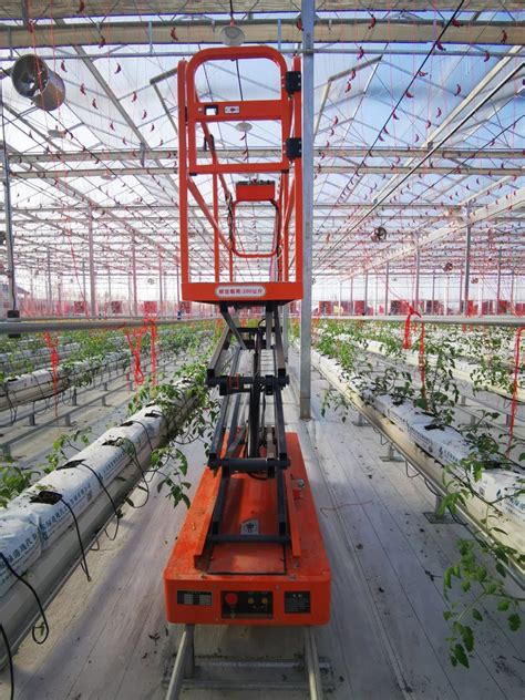 Track Scissor Lift Electric Lifter For Greenhouse China Vegetable