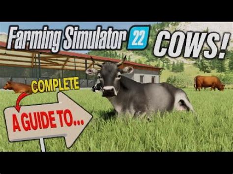 Fs A Complete Guide To Cows Farming Simulator Info