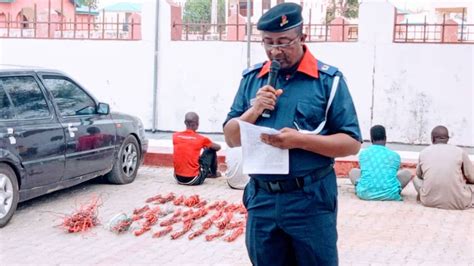 Zamfara NSCDC Arrest Suspected Banned Jerrycans Of Fuel Vandals Of