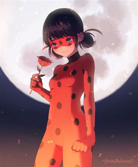 Pin By Lucy The Shadowhunter On Miraculous Ladybug And Chat Noir