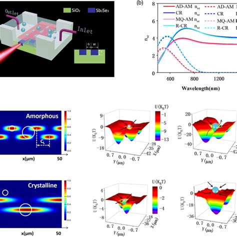 Sample Study Of Force And Trapping Locations Of Polystyrene Micro And