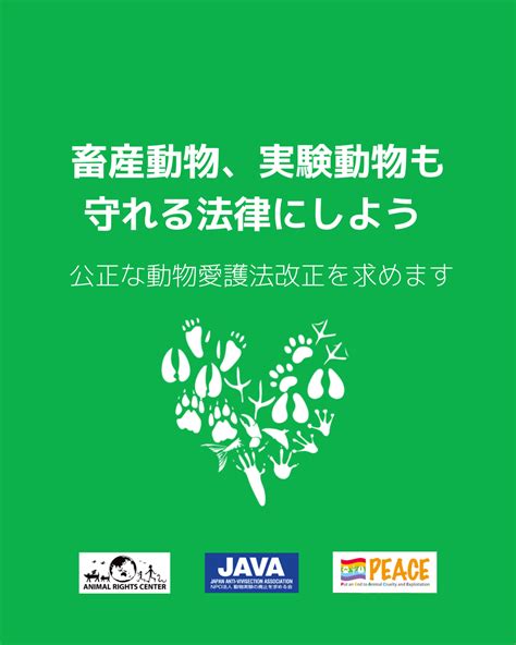 動物愛護法の改正を求める署名にご協力ください 畜産動物実験動物も守れる法改正にPEACE 命の搾取ではなく尊厳を