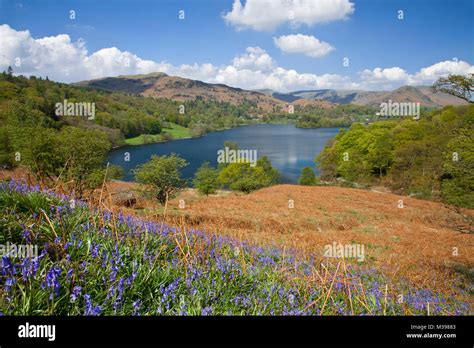 Loughrigg Terrace Spring Hi Res Stock Photography And Images Alamy