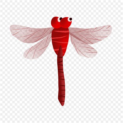 รูปred Dragonfly Animal Red Png ภาพตัดปะแมลงปอ สีแดง แมลงปอภาพ Png