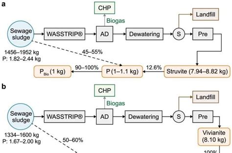 New Study Explores Phosphorus Recovery From Sewage Sludge In China For