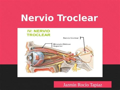 PPTX IV PAR CRANEAL NERVIO TROCLEAR DOKUMEN TIPS