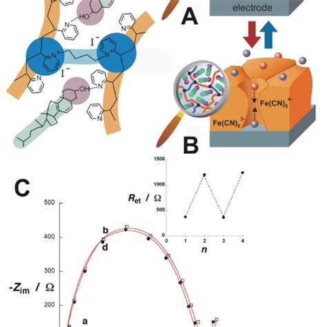 A Cross Linked Polyelectrolyte Gel Was Used As A Reversible Surface Download Scientific Diagram