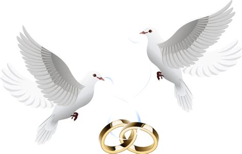 Wedding Doves Png