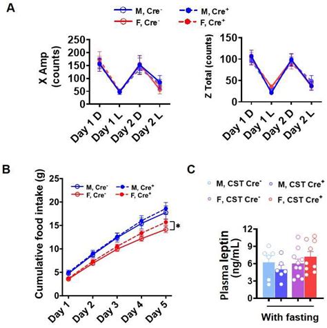 Ijms Free Full Text Adult Onset Cns Sulfatide Deficiency Causes Sex