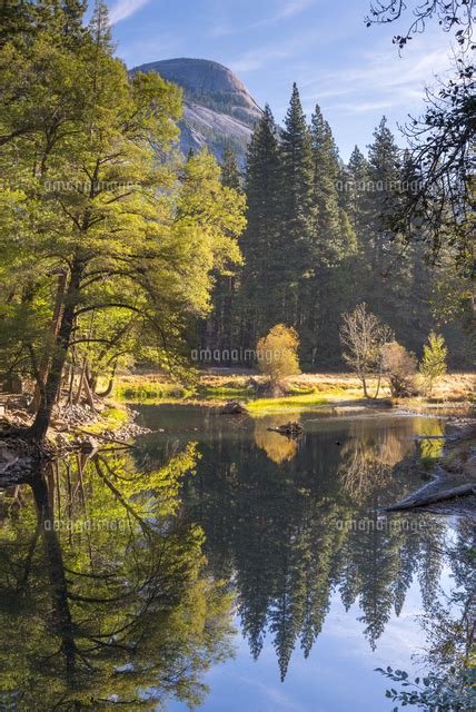 Autumn Reflections On The River Merced In Yosemite Valley Yosemite National Park Unesco World