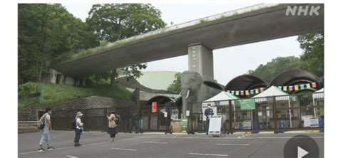 東京 多摩動物公園 飼育のカモが鳥インフル感染疑いで休園