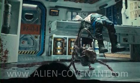 EXCLUSIVE: Alien: Covenant Neomorph bursting scene images leaked ...