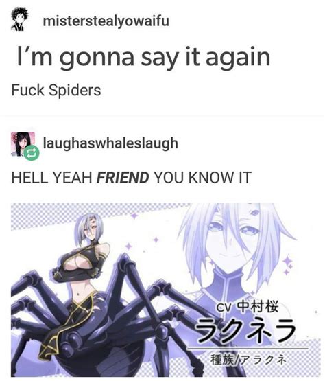 Fuck Spiders Animemes