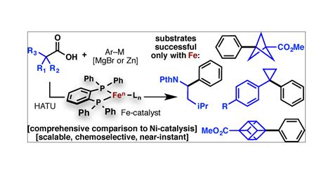 Redox Active Esters In Fe Catalyzed CC Coupling Journal Of The