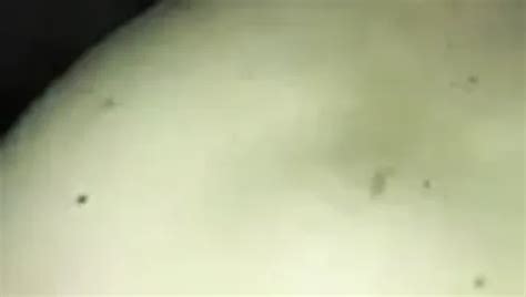 Free Sex Porn Videos 4918 XHamster