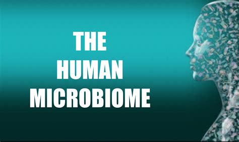 The Human Microbiome - The Wellness Corner