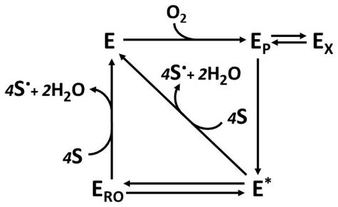 Catalysts Free Full Text Laccase Catalyzed Oxidation Of Mixed