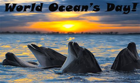 Celebrate World Oceans Day On June 8th Ocean Animals Dolphins