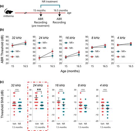 Longterm Nad Supplementation Prevents The Progression Of Agerelated