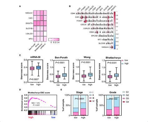 Relationship Between Gene Expression Profiles And Hcc Stemness Using Download Scientific