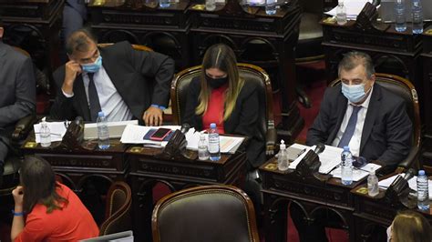 Tras La Sesión Fallida Diputados Volverá A La Presencialidad Para