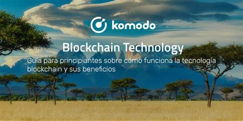 Guía Para Principiantes Sobre La Tecnología Blockchain