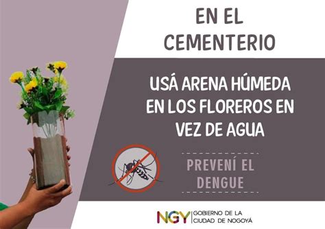 La Municipalidad Recomienda Usar Arena H Meda En Los Floreros Que Se