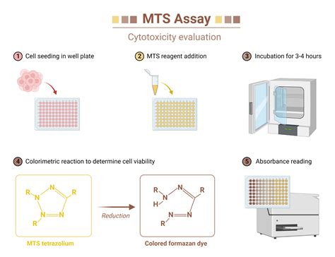 Mts Assay Biorender Science Templates