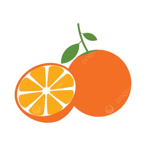 Vetor Laranja PNG Laranja Vetor Fruta Imagem PNG E Vetor Para