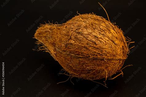 Dried Coconut With Extreme Details Of Its Body Texture And Hair