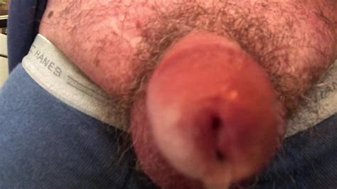 Eat My Cock And Balls Gay Porn XHamster