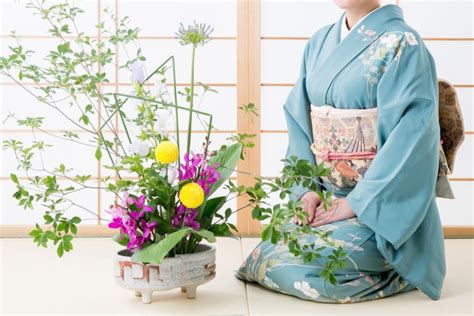 japanese flowers symbolism meaning  seasonal highlights japambience
