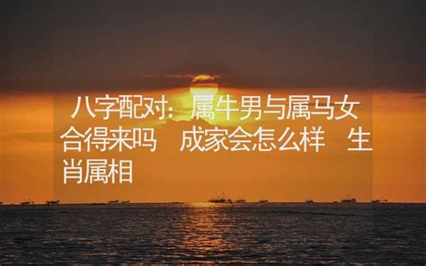 八字配对：属牛男与属马女合得来吗 成家会怎么样 生肖属相 八字算命 合福居算命网