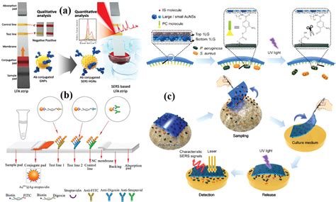 Bacteria Detection From Powerful SERS To Its Advanced Compatible