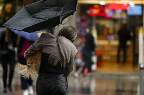 El viento provoca algunos desprendimientos y caída de ramas