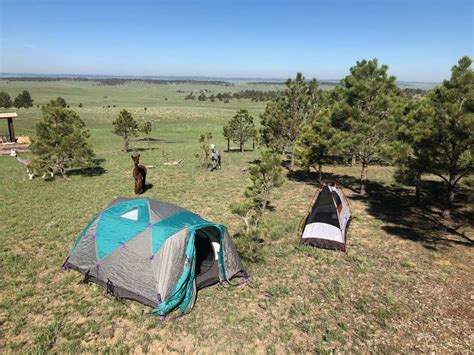 Harmony Ridge Farm Hipcamp In Ramah Colorado