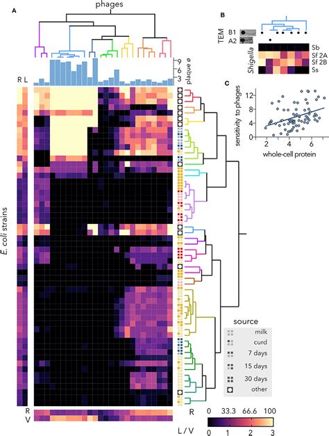 Frontiers Corrigendum Diversity And Local Coadaptation Of