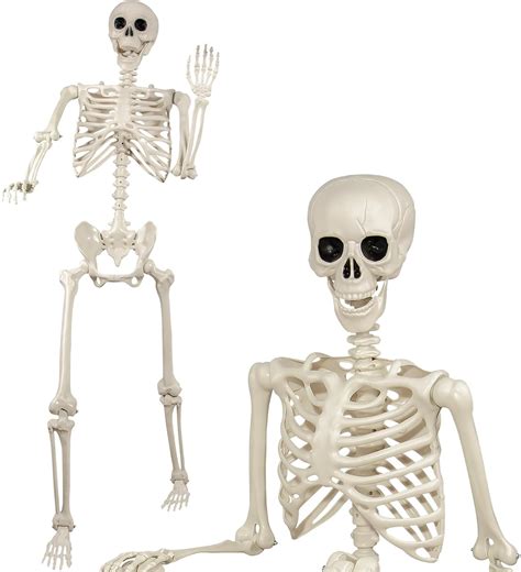 Aofox 5 4ft 165cm Halloween Skeleton Full Life Size