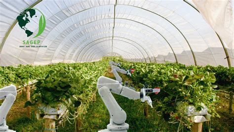 Smart Agro Easy Plantation Sagep On Twitter The Vision Of The Robot