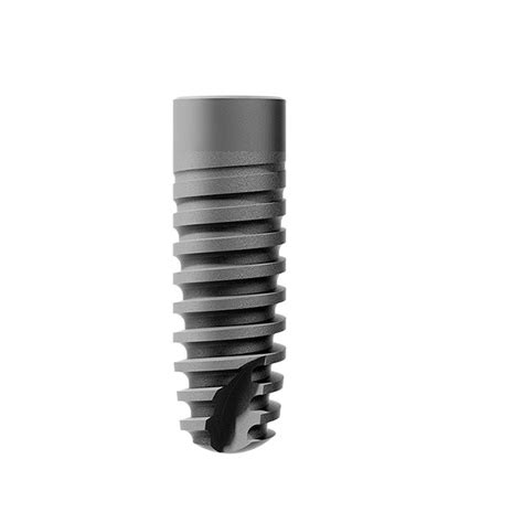 Cylindrical Dental Implant Ankylos Dentsply Sirona Titanium