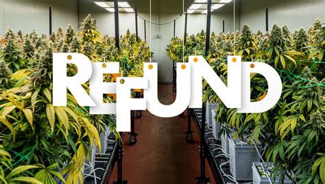 113 000 000 And Counting In Irs 280e Tax Refunds How The Cannabis Industry Is About To Get A