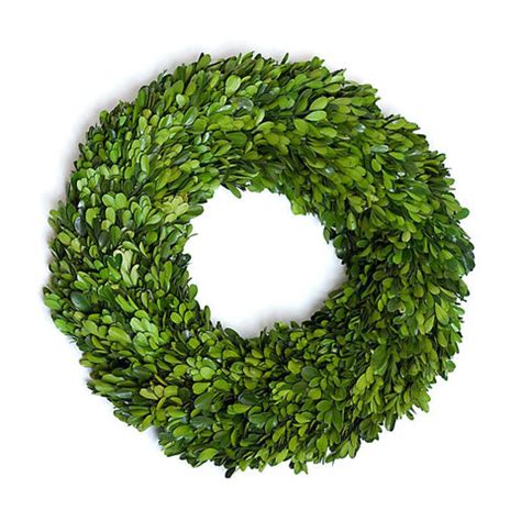 Boxwood Wreath Preserved - 24 Inch – Bella Marie