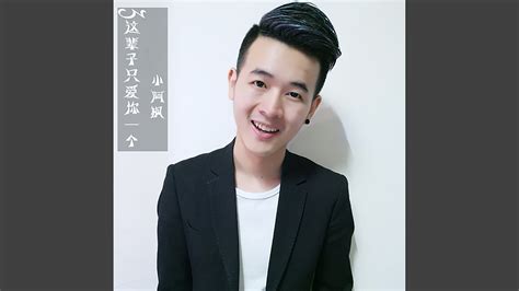 这辈子只爱你一个 Youtube Music