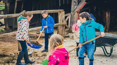 Wat Is Dagbesteding Zorgboerderij En Dagbesteding Groeioord