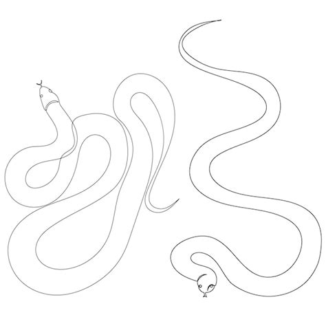 Premium Vector Snakes Drawing In One Continuous Line Isolated Vector