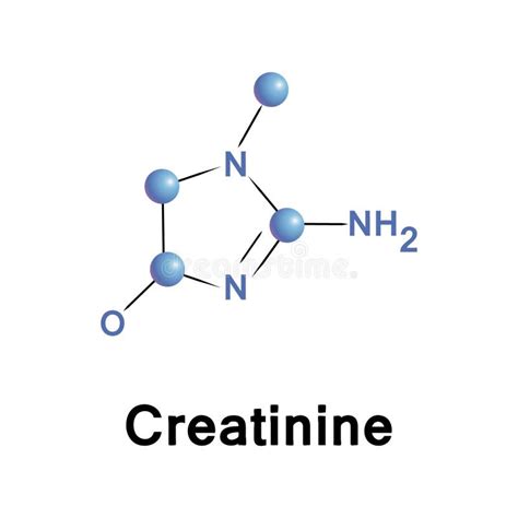 Creatinine Stock Vector - Image: 45499258