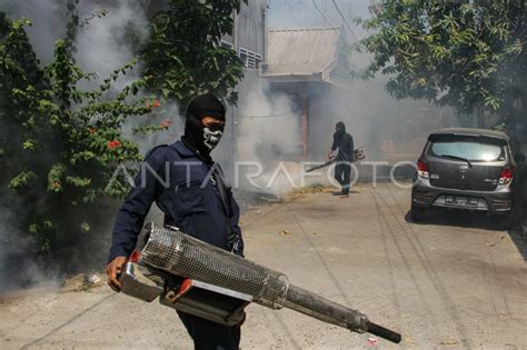 Upaya Antisipasi Penularan Dbd Di Makassar Antara Foto