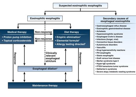 Eoe Cdst [image] Eurekalert Science News Releases