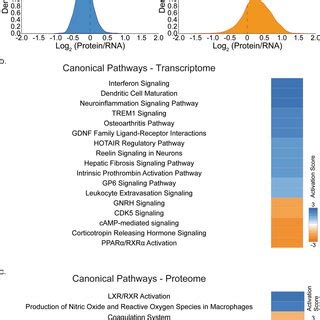 Ingenuity pathway analysis identifies differential canonical pathway ... 